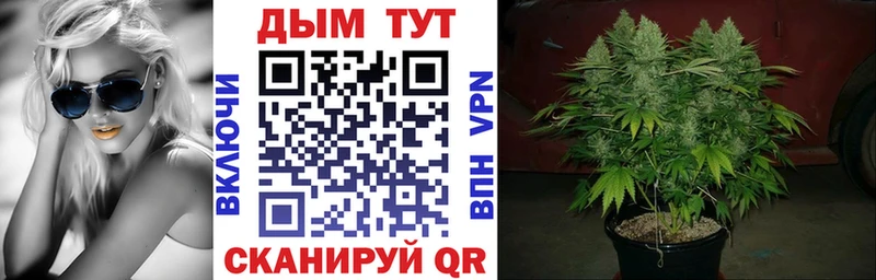 Марихуана AK-47  Купить где  Иланский 